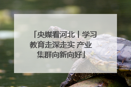 央媒看河北丨学习教育走深走实 产业集群向新向好