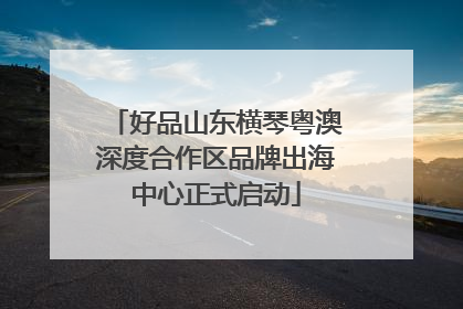 好品山东横琴粤澳深度合作区品牌出海中心正式启动