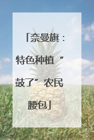 奈曼旗：特色种植“鼓了”农民腰包