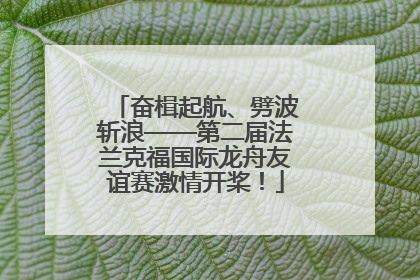 奋楫起航、劈波斩浪——第二届法兰克福国际龙舟友谊赛激情开桨！