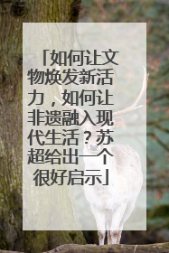 如何让文物焕发新活力，如何让非遗融入现代生活？苏超给出一个很好启示