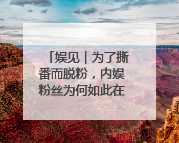 娱见｜为了撕番而脱粉，内娱粉丝为何如此在乎番位