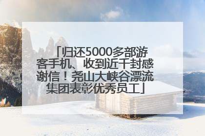 归还5000多部游客手机、收到近千封感谢信！尧山大峡谷漂流集团表彰优秀员工