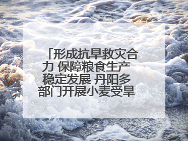 形成抗旱救灾合力 保障粮食生产稳定发展 丹阳多部门开展小麦受旱情况调研