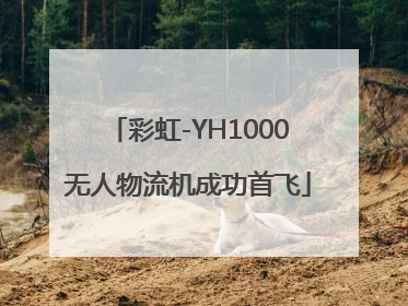 彩虹-YH1000无人物流机成功首飞