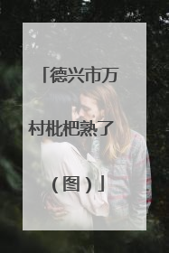 德兴市万村枇杷熟了（图）
