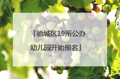 德城区19所公办幼儿园开始报名
