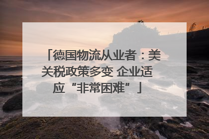 德国物流从业者：美关税政策多变 企业适应“非常困难”
