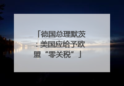 德国总理默茨：美国应给予欧盟“零关税”