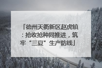 德州天衢新区赵虎镇：抢收抢种同推进，筑牢“三夏”生产防线