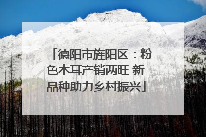 德阳市旌阳区：粉色木耳产销两旺 新品种助力乡村振兴