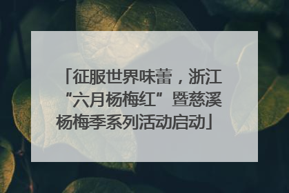 征服世界味蕾，浙江“六月杨梅红”暨慈溪杨梅季系列活动启动