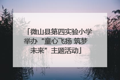 微山县第四实验小学举办“童心飞扬 筑梦未来”主题活动