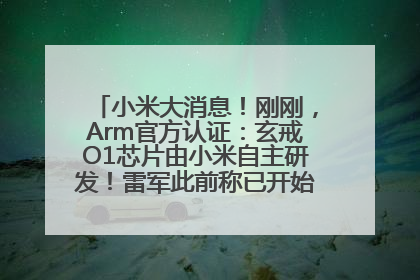 小米大消息！刚刚，Arm官方认证：玄戒O1芯片由小米自主研发！雷军此前称已开始大规模量产