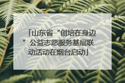山东省“创培在身边”公益志愿服务基层联动活动在烟台启动