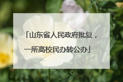山东省人民政府批复，一所高校民办转公办