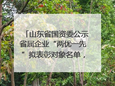 山东省国资委公示省属企业“两优一先”拟表彰对象名单，共250名（个）党员和党组织