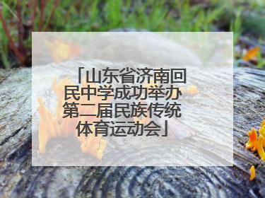 山东省济南回民中学成功举办第二届民族传统体育运动会