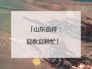 山东嘉祥：夏收夏种忙