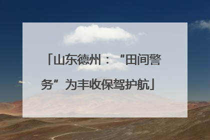 山东德州：“田间警务”为丰收保驾护航