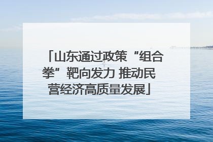 山东通过政策“组合拳”靶向发力 推动民营经济高质量发展