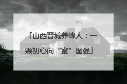 山西晋城养蜂人：一颗初心向“蜜”图强