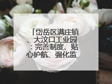 岱岳区满庄镇、大汶口工业园：完善制度、贴心护航、强化监管，打造优质营商“强磁场”