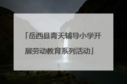 岳西县青天辅导小学开展劳动教育系列活动