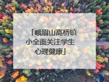 峨眉山高桥镇小全面关注学生心理健康