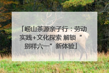 崂山茶源亲子行：劳动实践+文化探索 解锁“别样六一”新体验