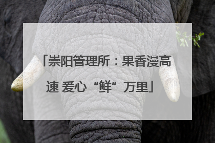 崇阳管理所：果香漫高速 爱心“鲜”万里