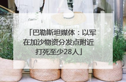 巴勒斯坦媒体：以军在加沙物资分发点附近打死至少28人