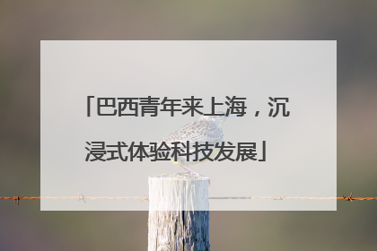 巴西青年来上海，沉浸式体验科技发展