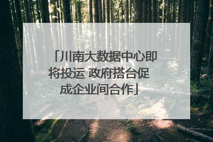 川南大数据中心即将投运 政府搭台促成企业间合作