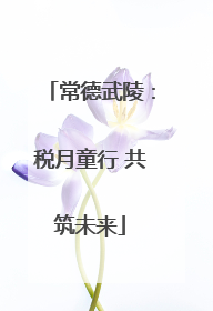 常德武陵：税月童行 共筑未来