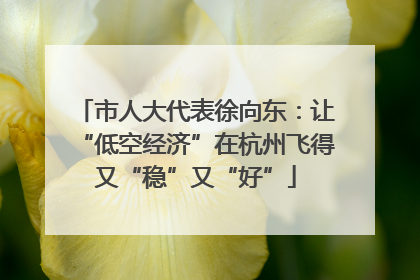 市人大代表徐向东：让“低空经济”在杭州飞得又“稳”又“好”