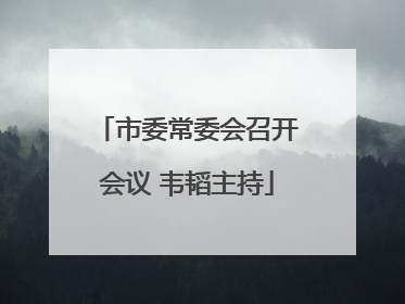 市委常委会召开会议 韦韬主持