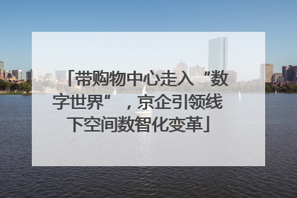 带购物中心走入“数字世界”，京企引领线下空间数智化变革