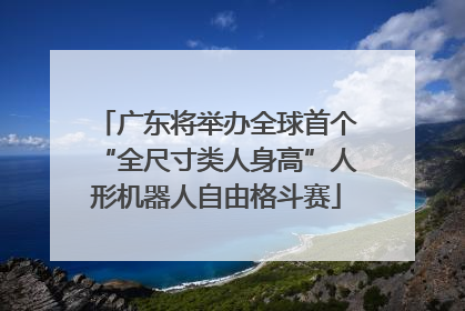 广东将举办全球首个“全尺寸类人身高”人形机器人自由格斗赛