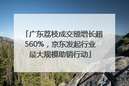 广东荔枝成交额增长超560%，京东发起行业最大规模助销行动