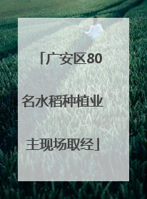 广安区80名水稻种植业主现场取经
