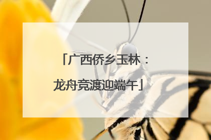 广西侨乡玉林：龙舟竞渡迎端午