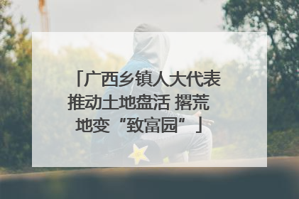 广西乡镇人大代表推动土地盘活 撂荒地变“致富园”