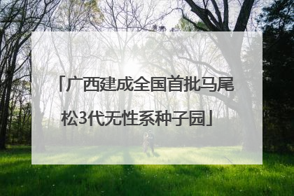 广西建成全国首批马尾松3代无性系种子园