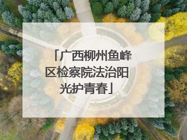 广西柳州鱼峰区检察院法治阳光护青春