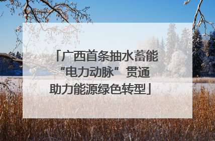 广西首条抽水蓄能“电力动脉”贯通 助力能源绿色转型