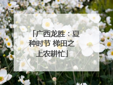 广西龙胜：夏种时节 梯田之上农耕忙