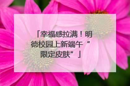 幸福感拉满！明德校园上新端午“限定皮肤”
