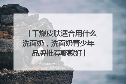 干燥皮肤适合用什么洗面奶，洗面奶青少年品牌推荐哪款好