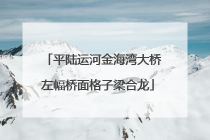 平陆运河金海湾大桥左幅桥面格子梁合龙